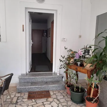 Guest house & Kaurloto
